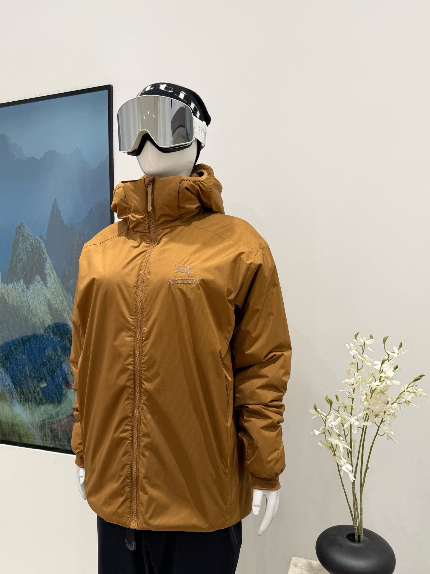 Arc'teryx Atom Hoody