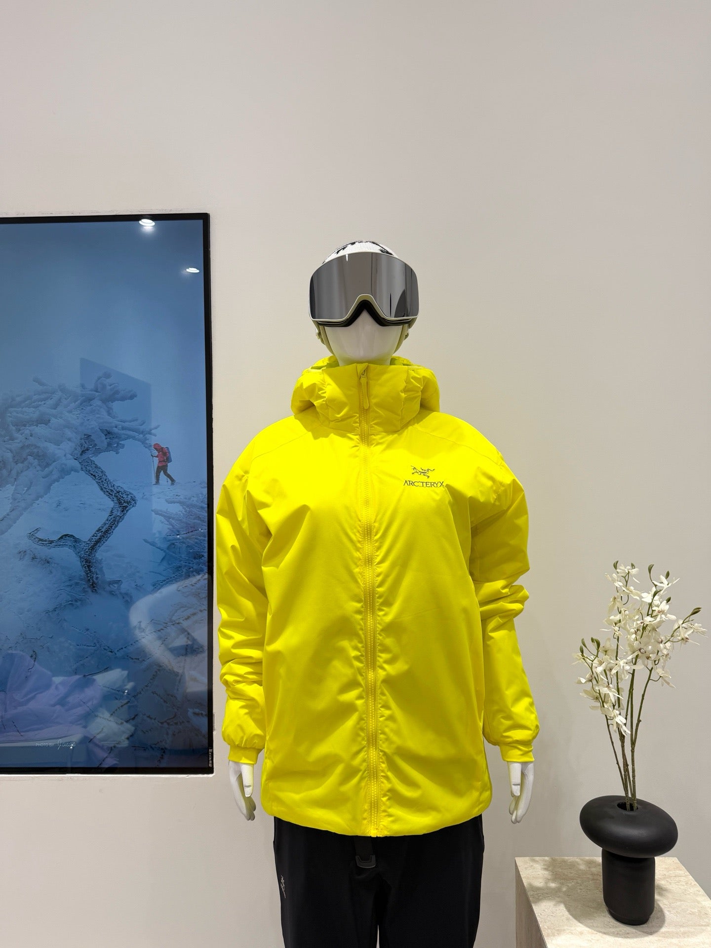 Arc'teryx Atom Hoody