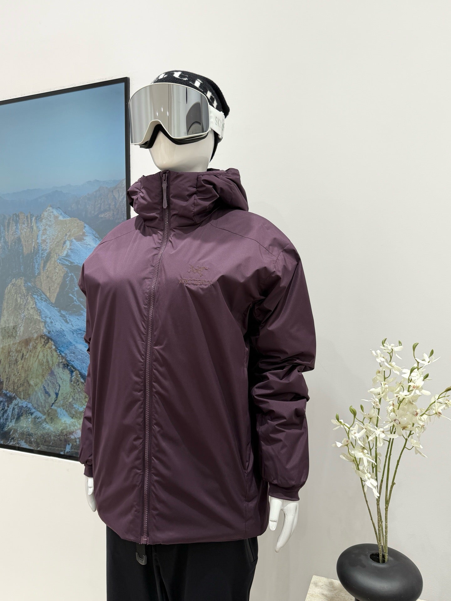 Arc'teryx Atom Hoody