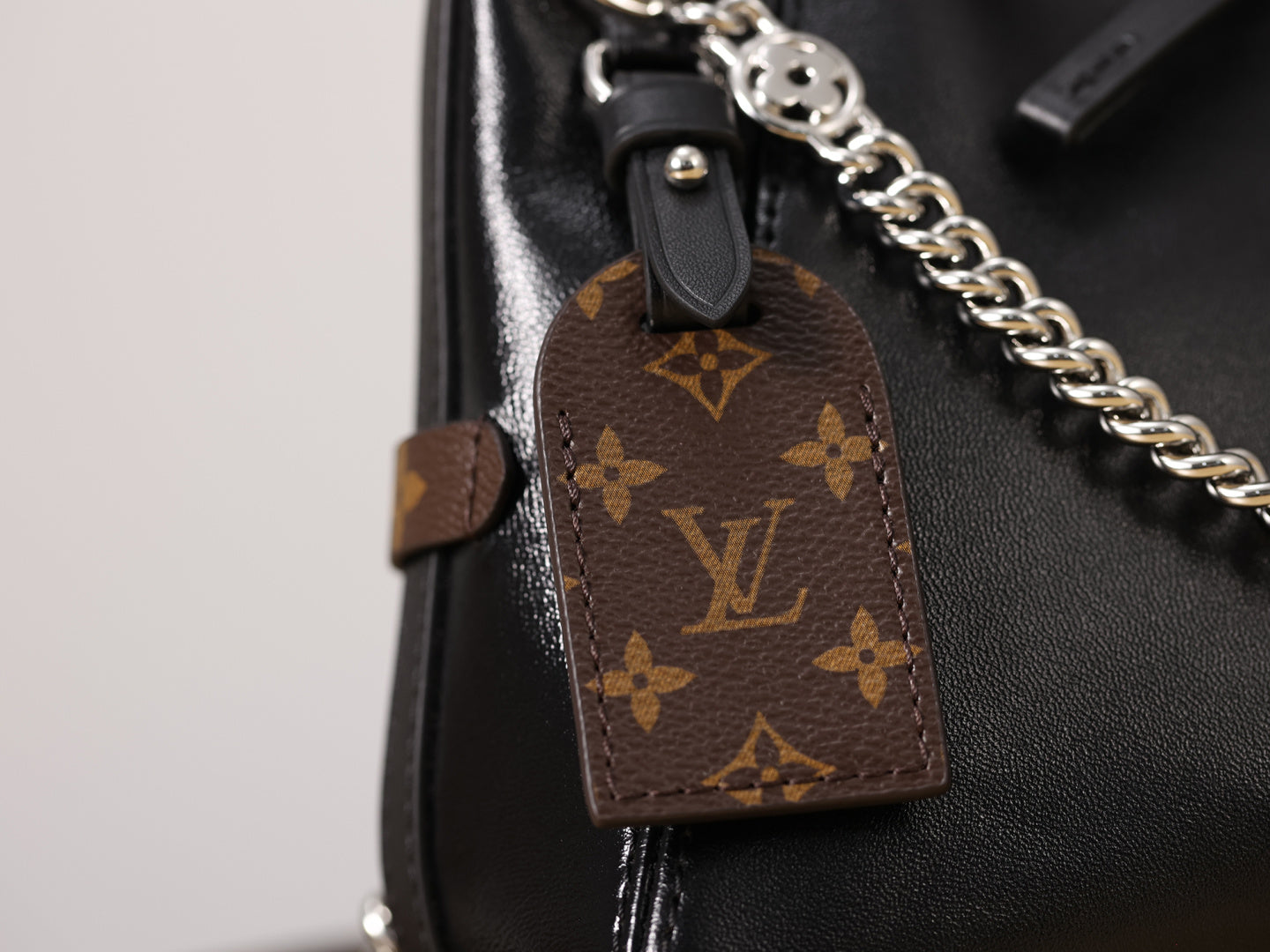 LV Carryall BB Black Knight Tote bag
