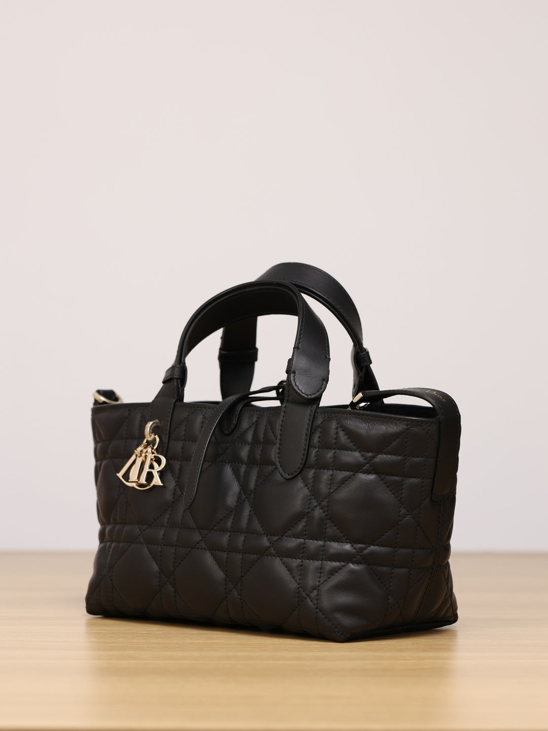 Dior Toujours Handbag（Small Size）