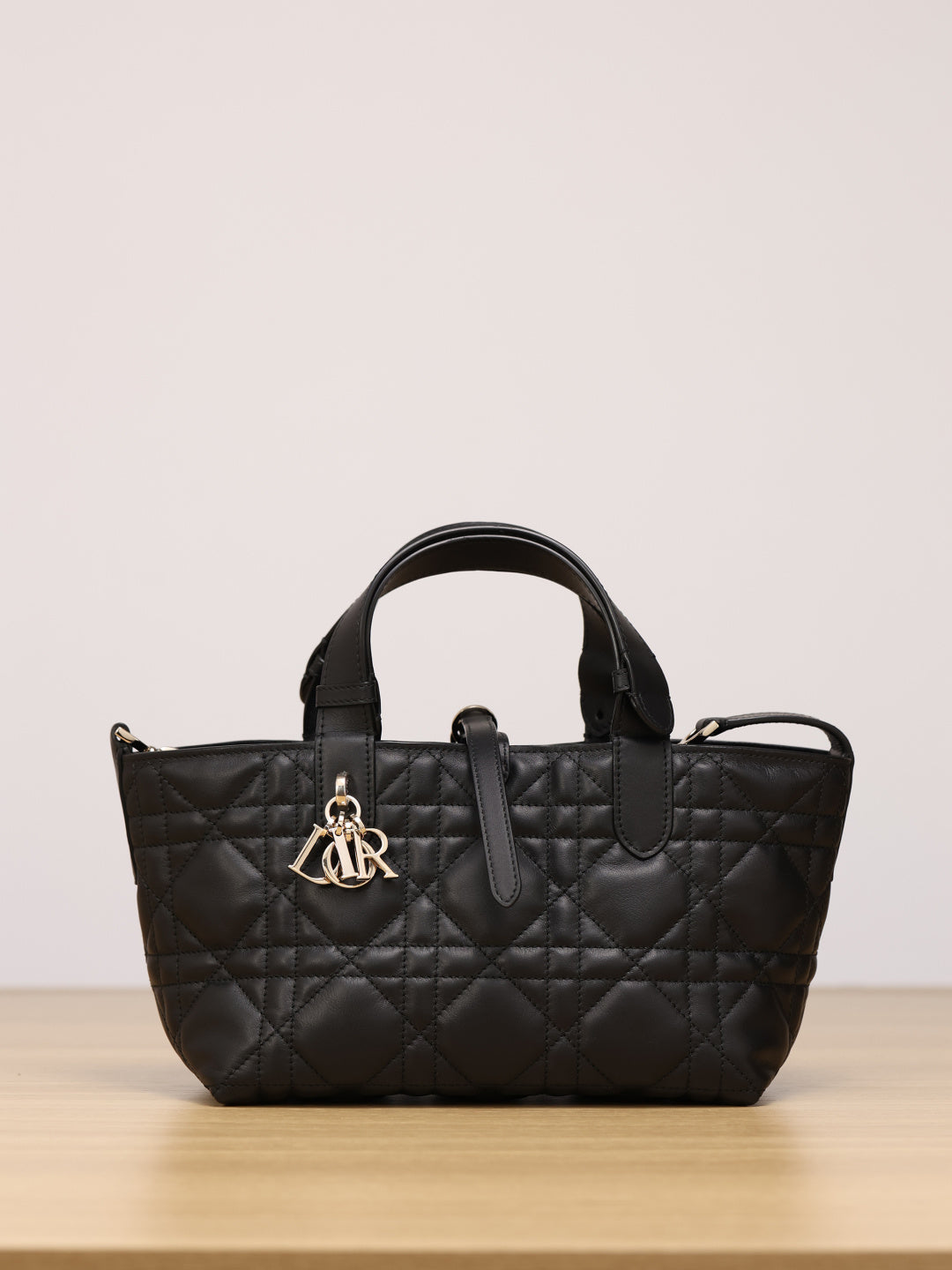 Dior Toujours Handbag（Small Size）