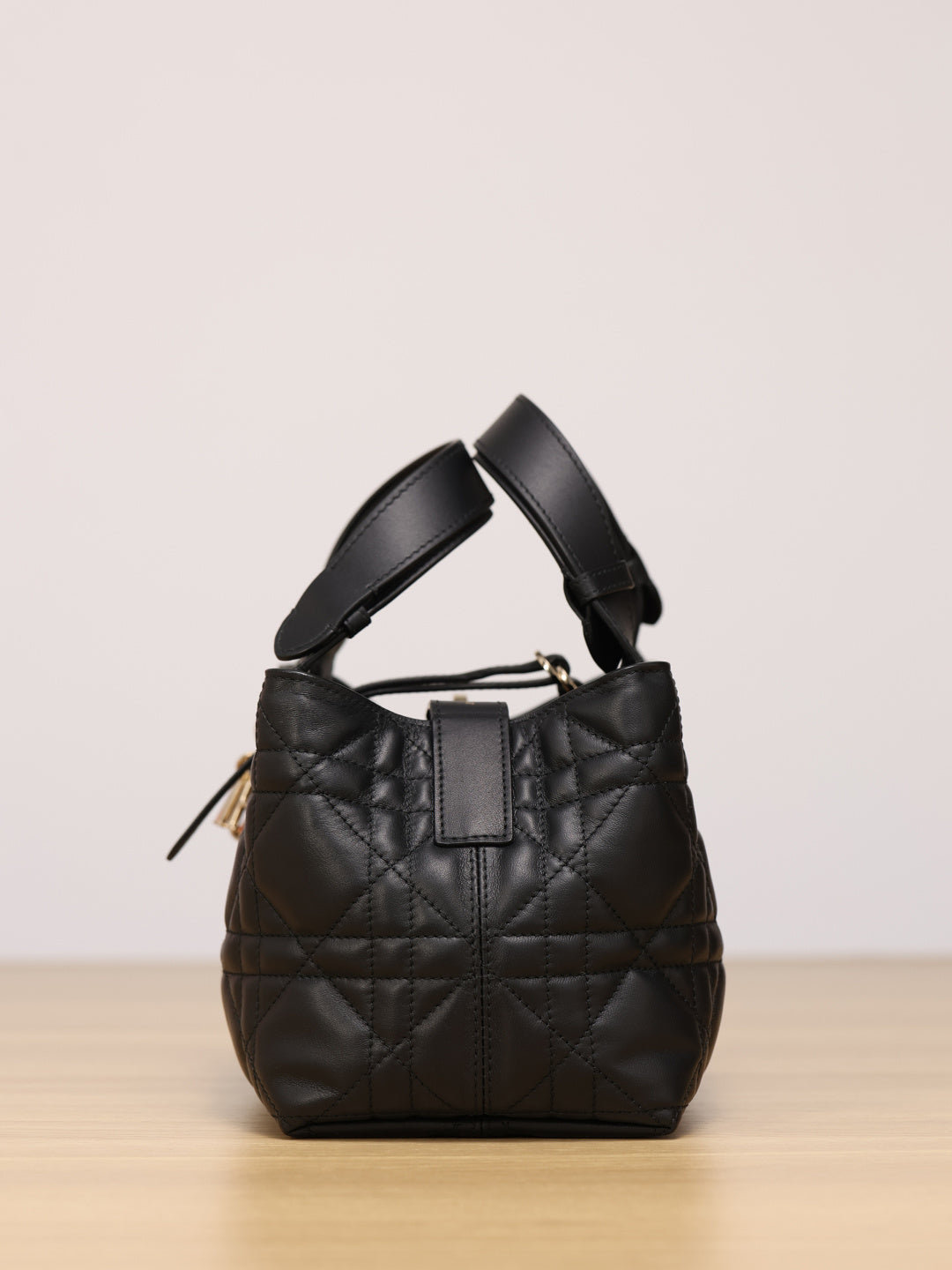 Dior Toujours Handbag（Small Size）