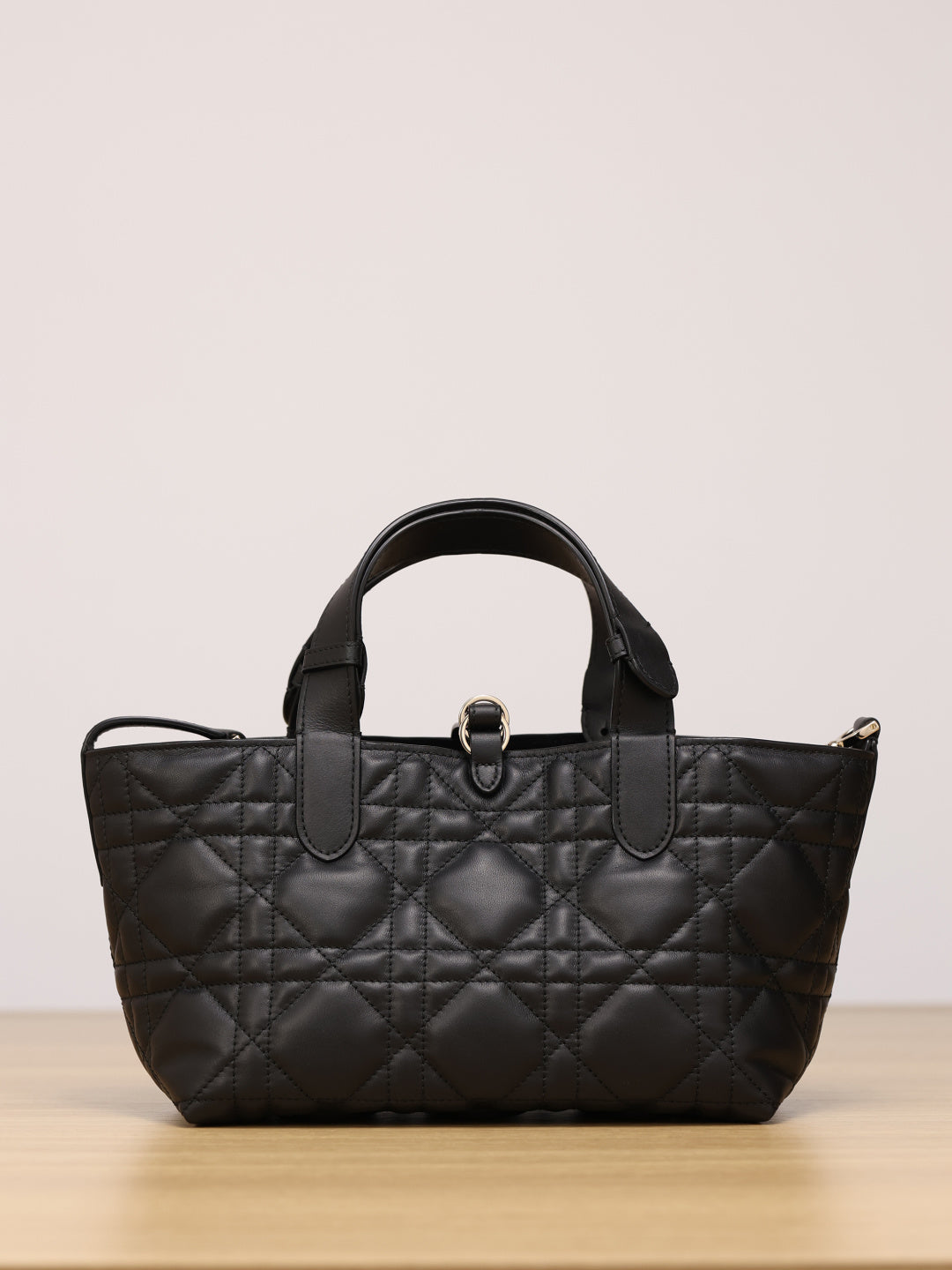 Dior Toujours Handbag（Small Size）