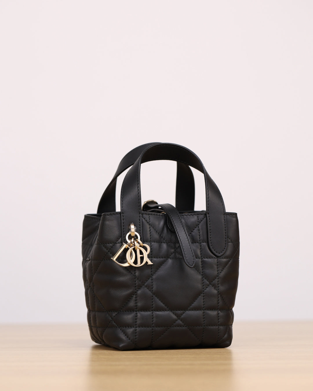 Dior Toujours Handbag（Mini）