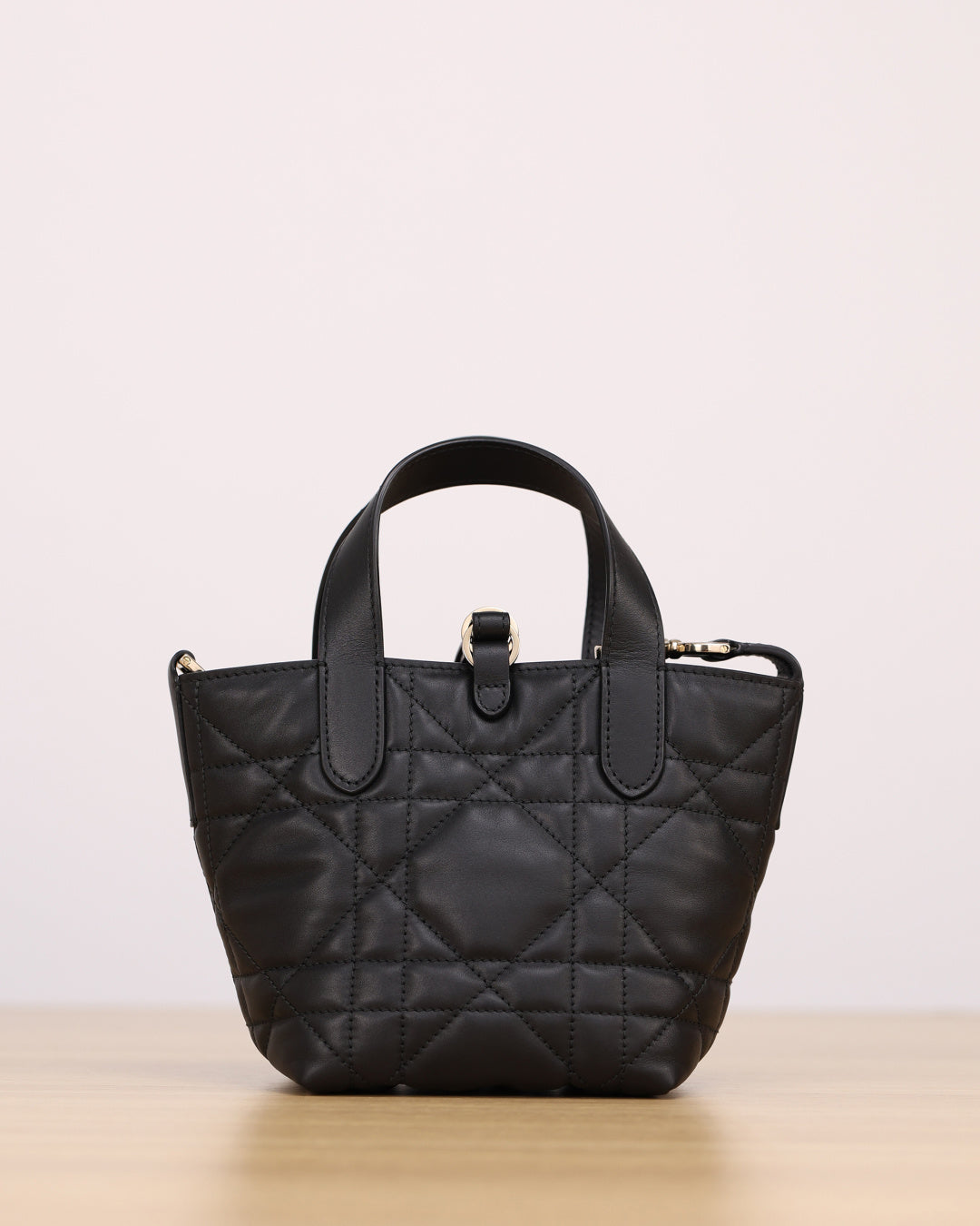 Dior Toujours Handbag（Mini）