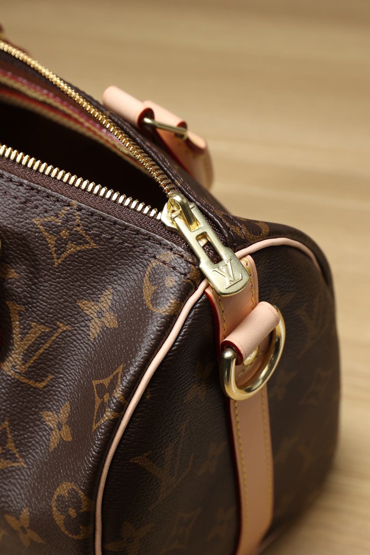 LV Speedy 25 Handbag