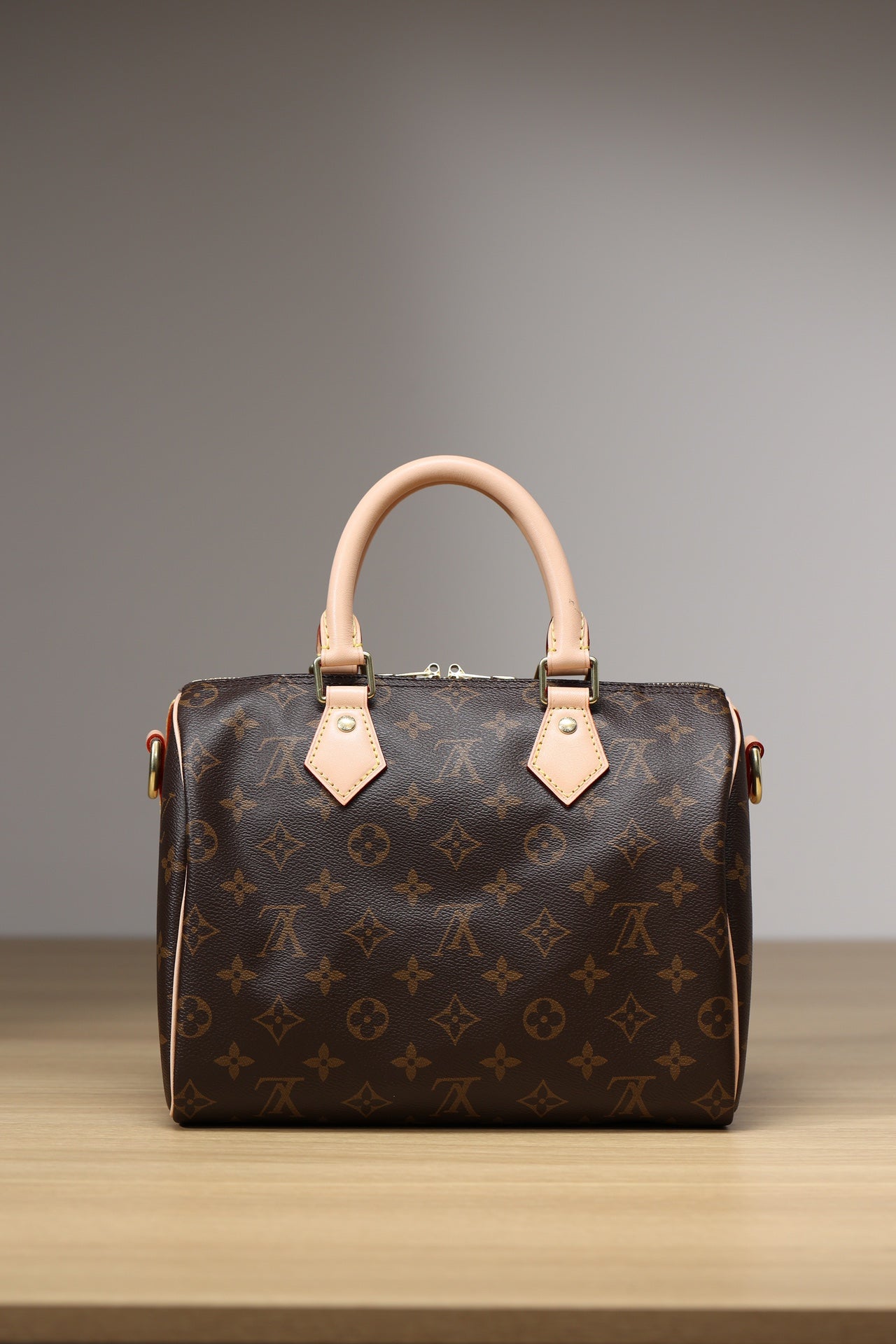 LV Speedy 25 Handbag