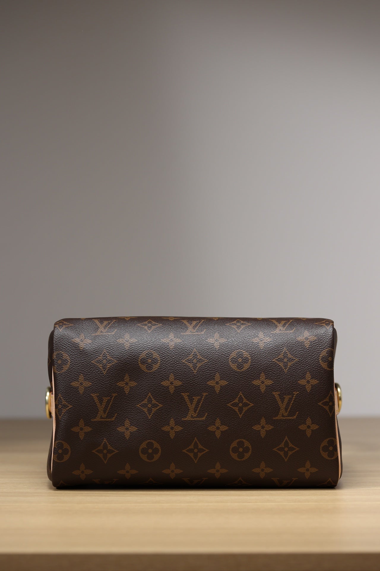 LV Speedy 25 Handbag