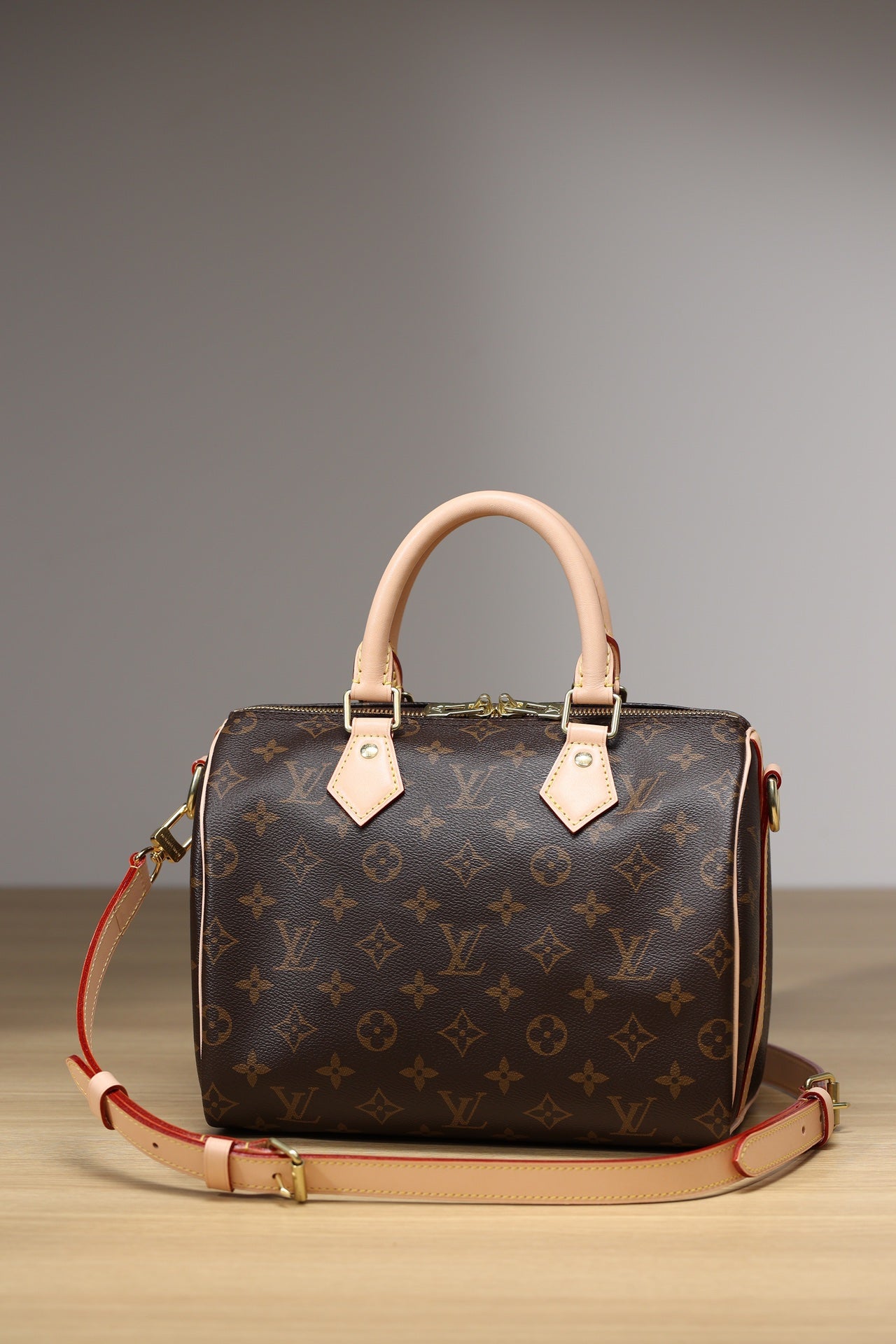 LV Speedy 25 Handbag
