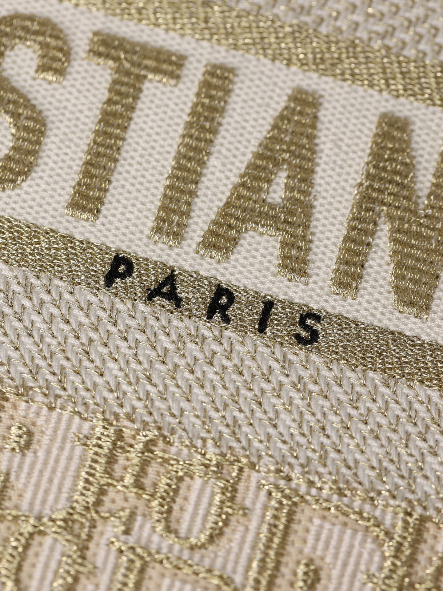 Dior BookTote Tote bag（Medium Size）