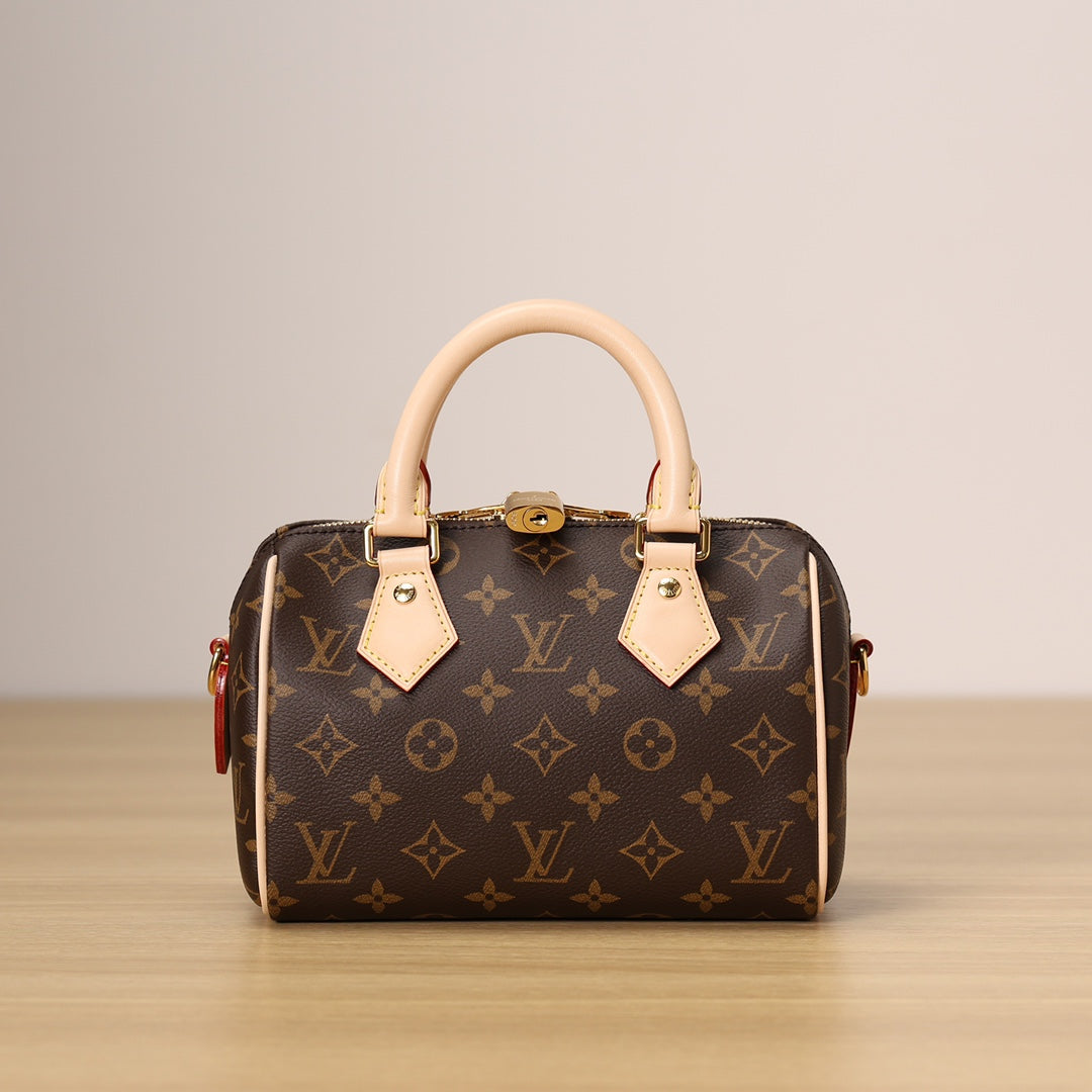 LV Speedy 20 Handbag