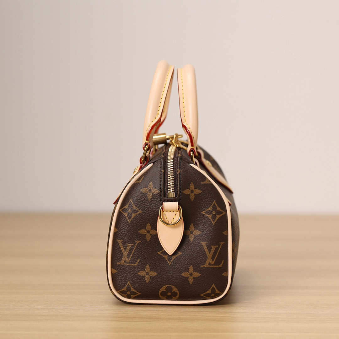 LV Speedy 20 Handbag