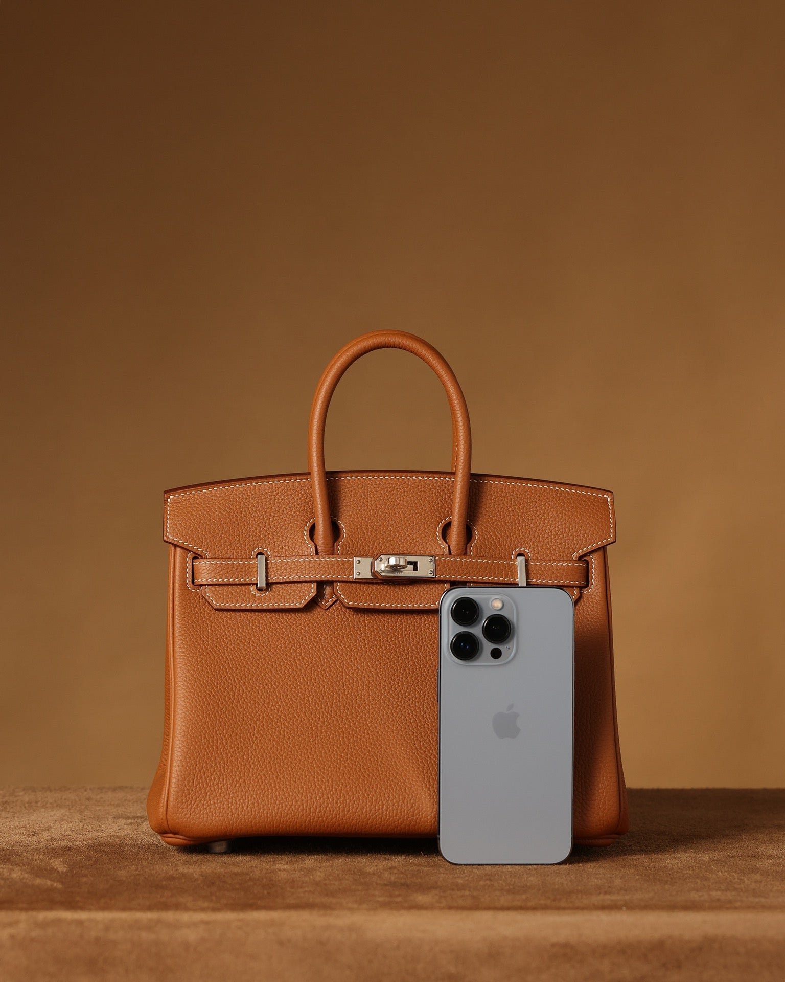 Hermès Birkin 25 Handbag