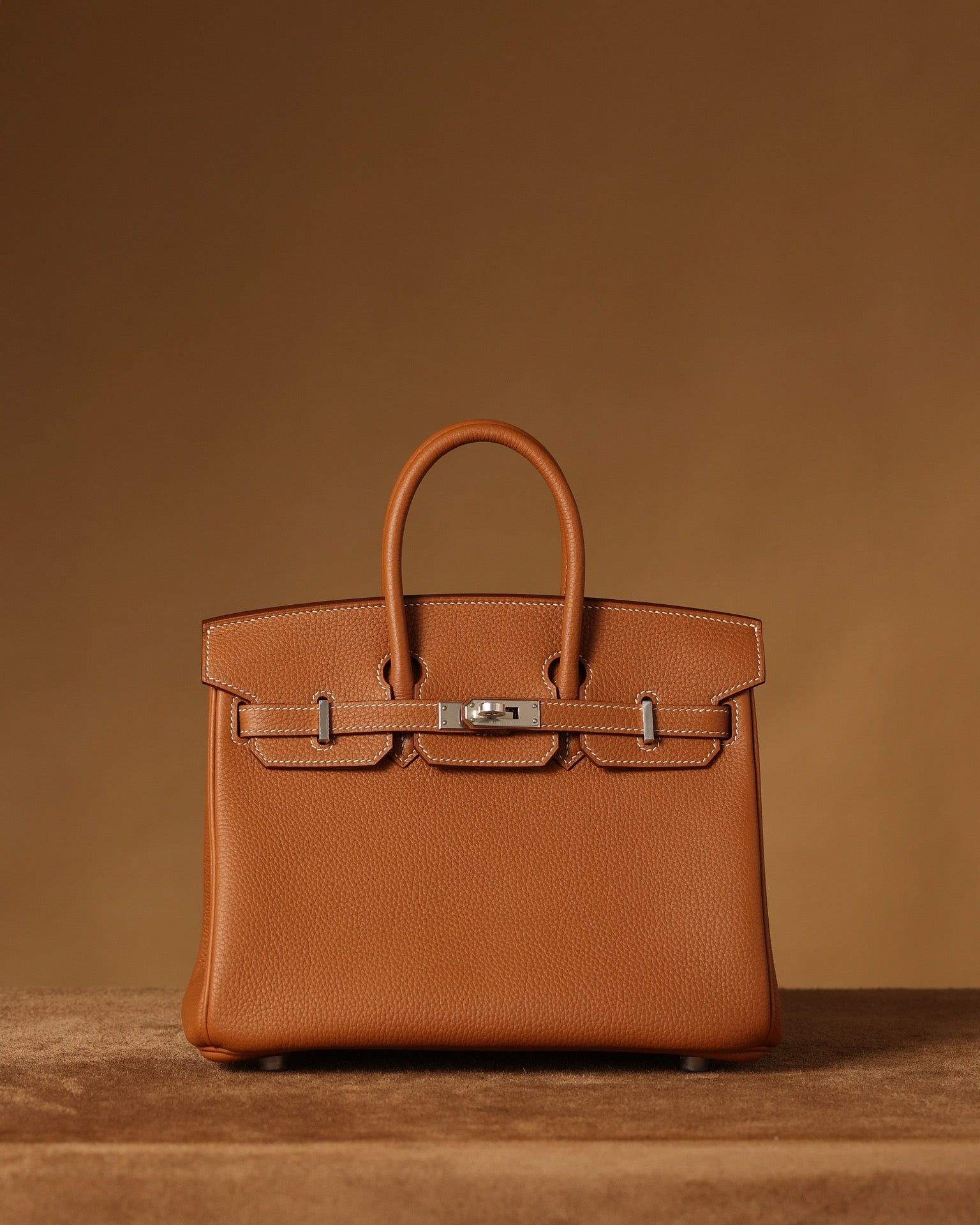 Hermès Birkin 25 Handbag