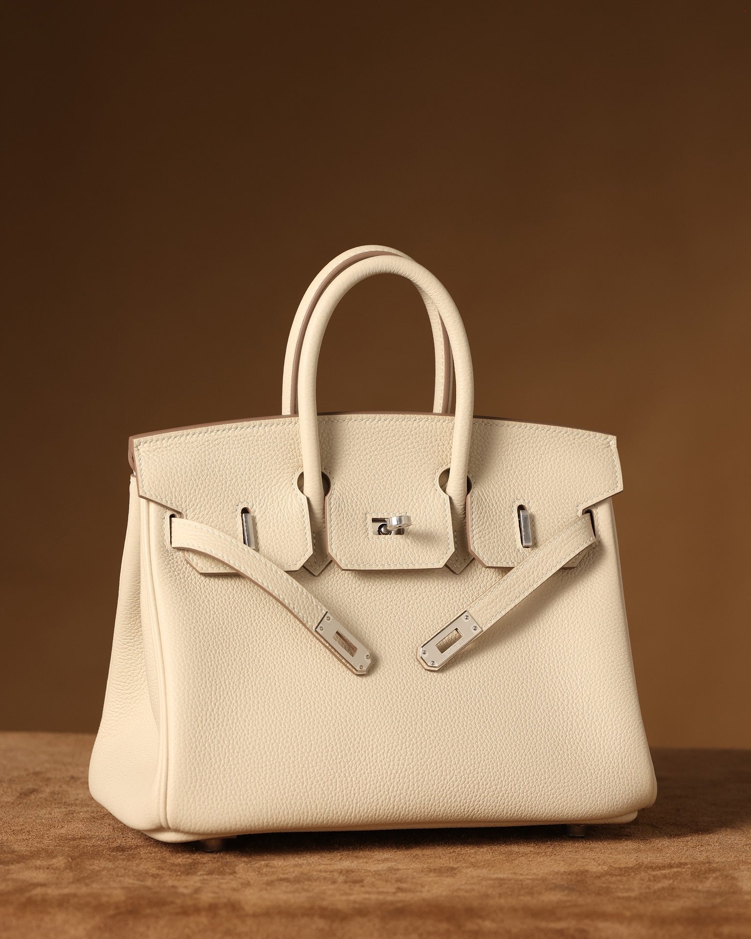 Hermès Birkin 25 Handbag