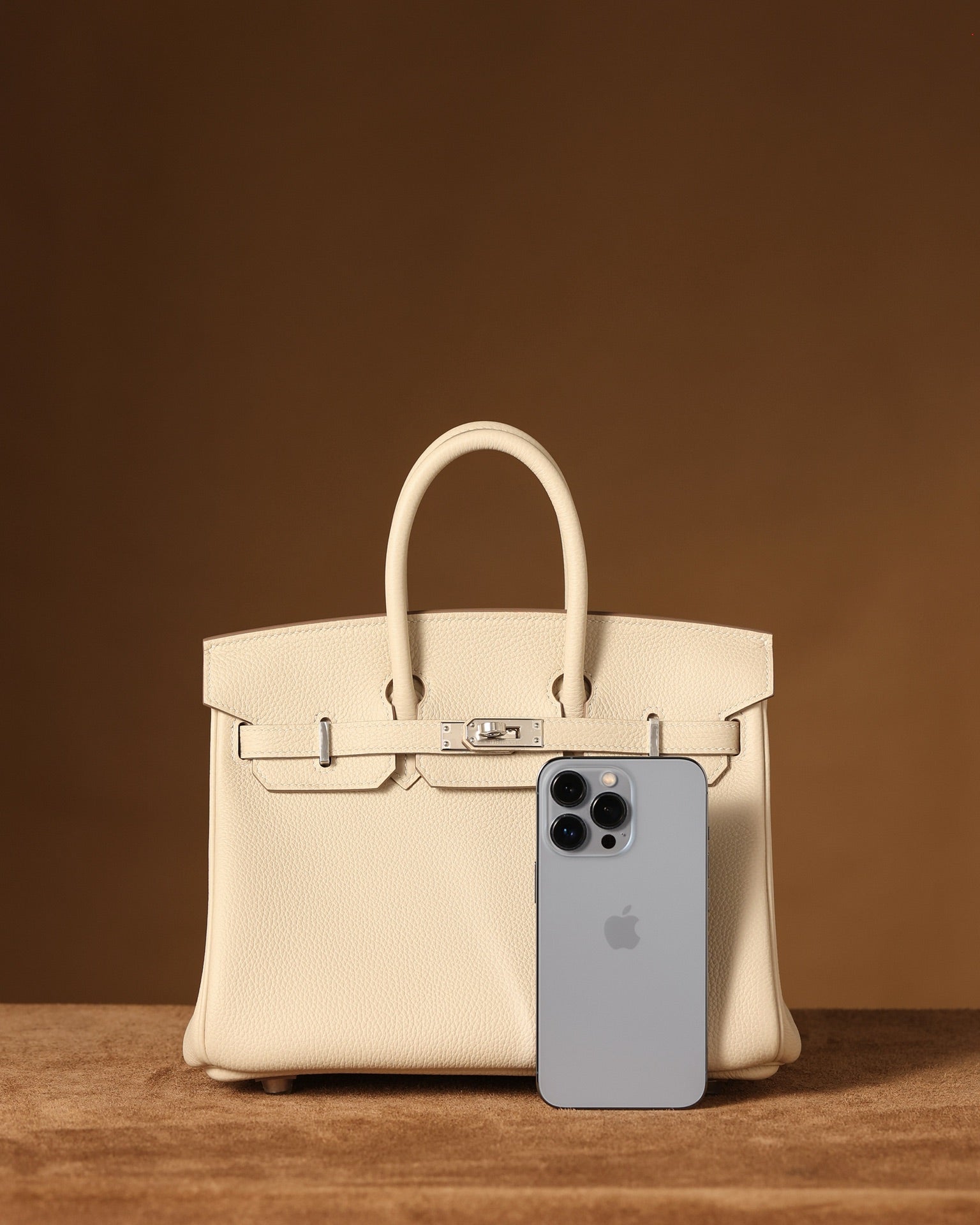 Hermès Birkin 25 Handbag