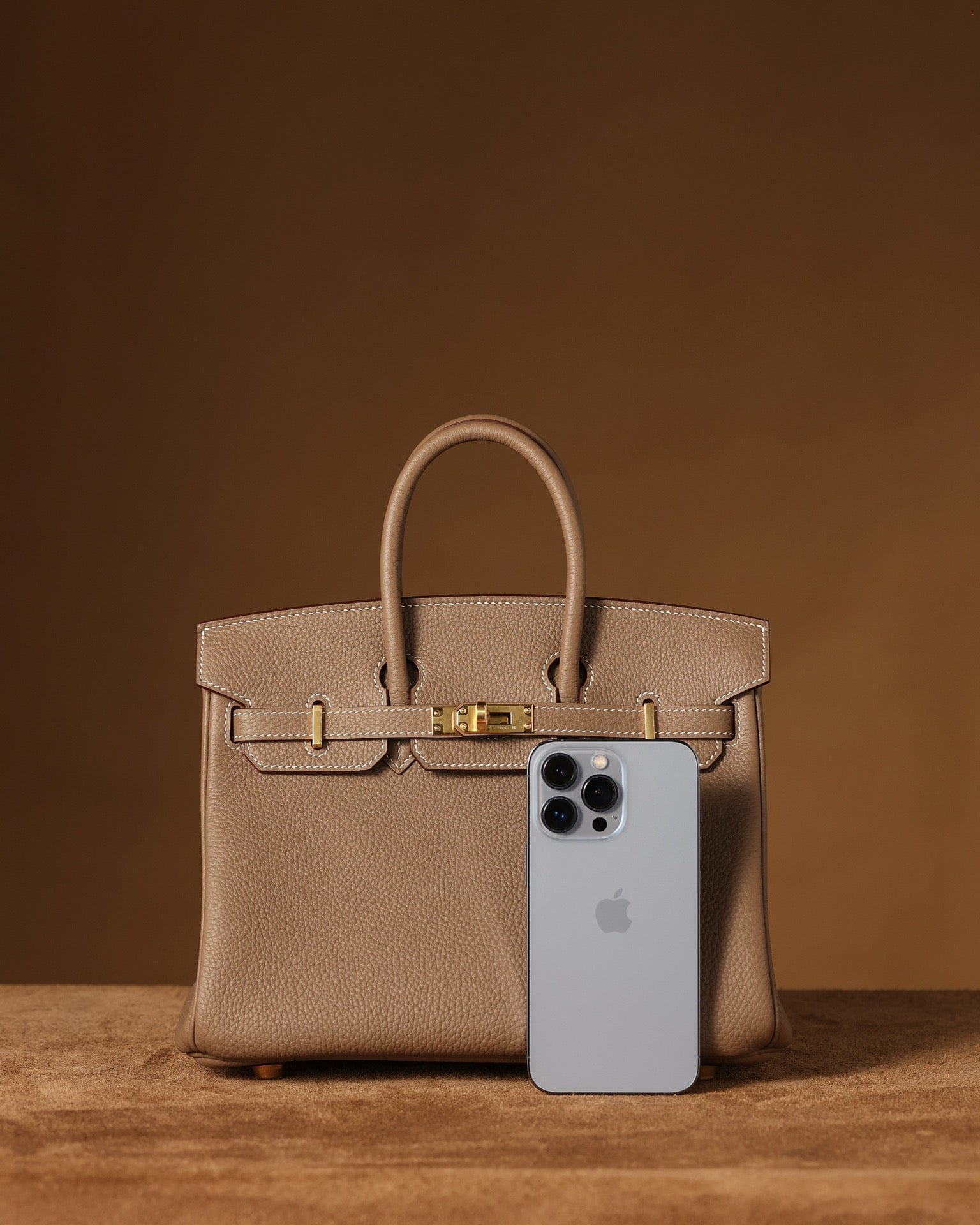 Hermès Birkin 25 Handbag