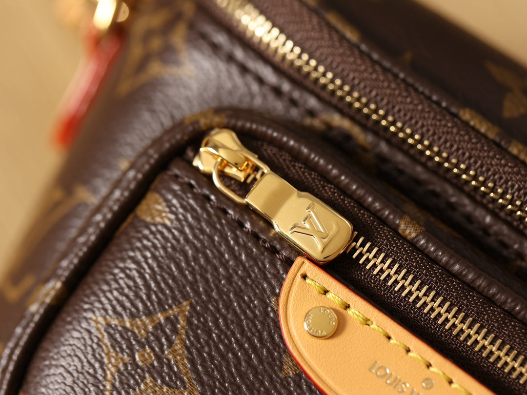 LV Bumbag