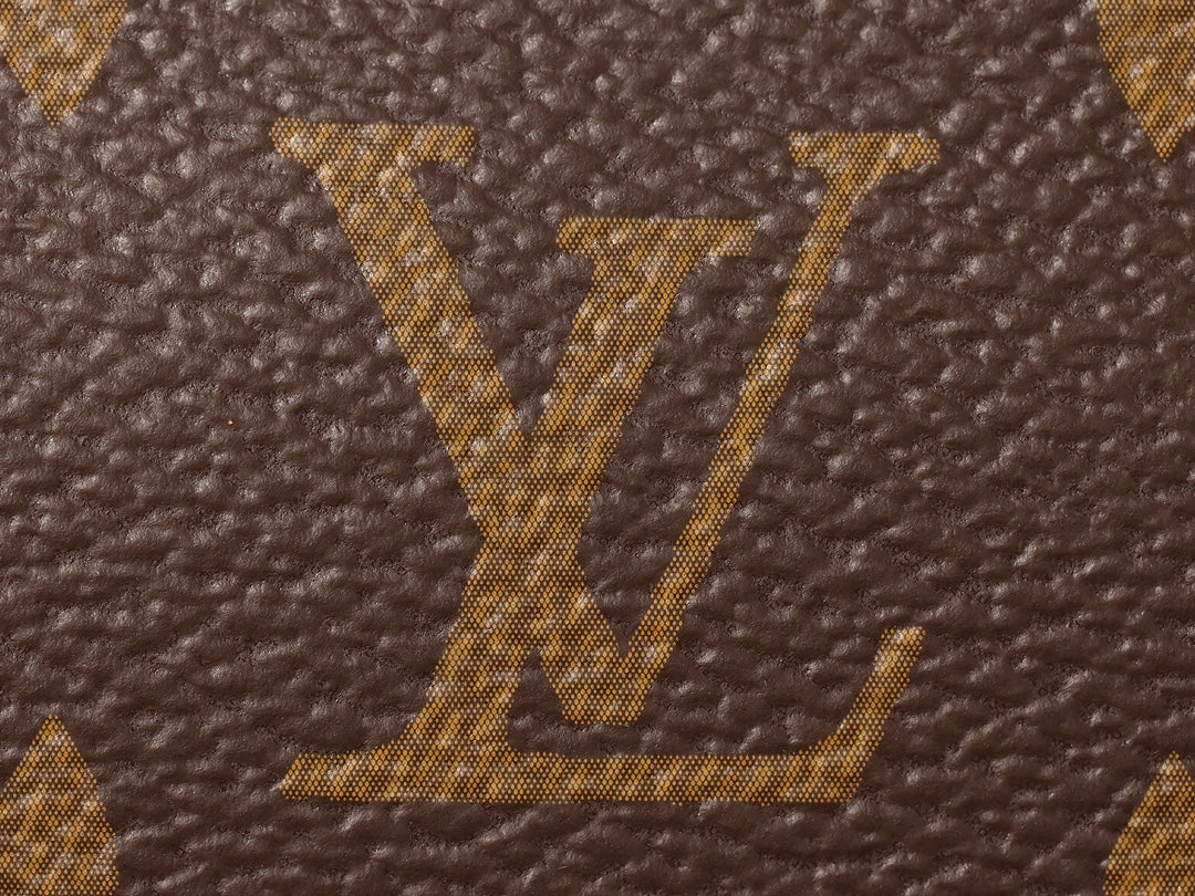 LV Pochette Accessoires Handbag
