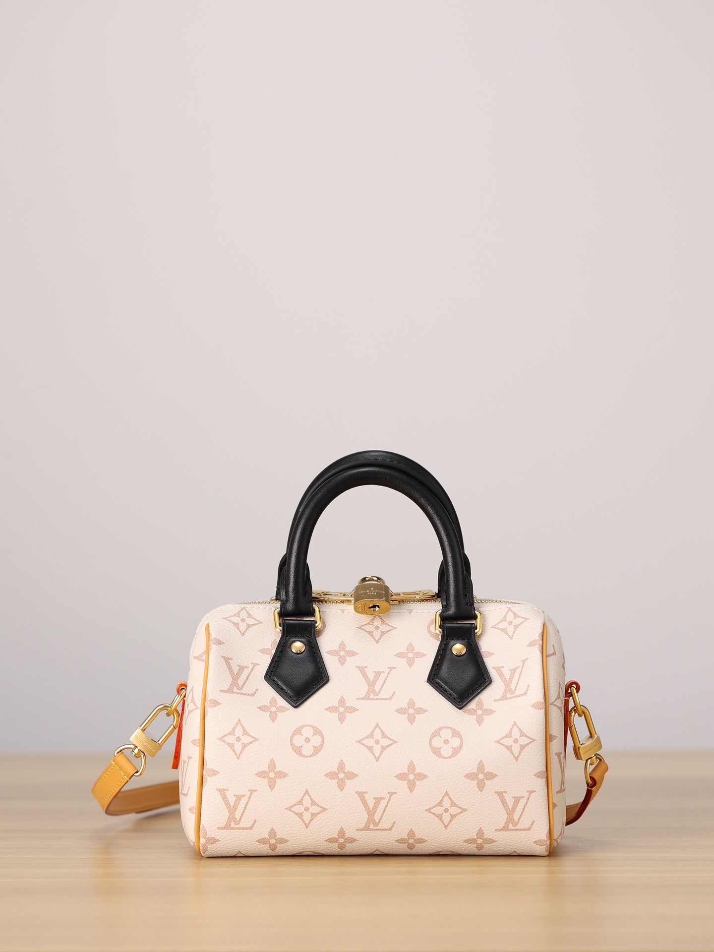 LV Speedy 20 Handbag