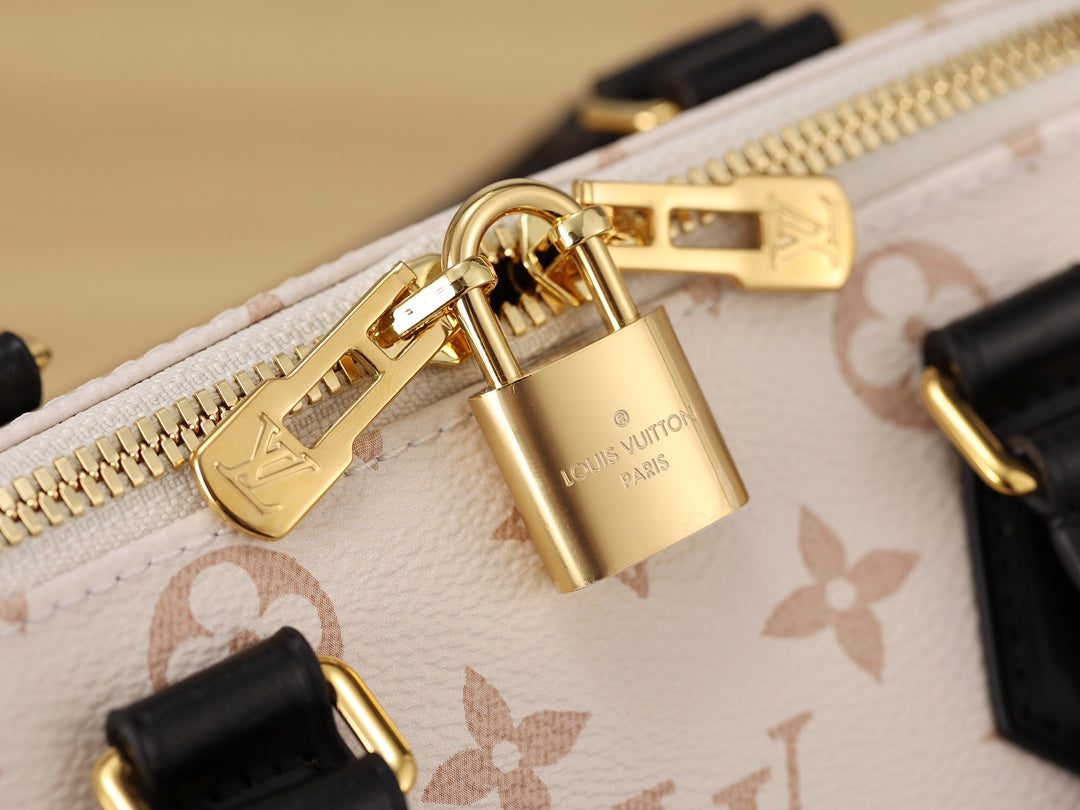 LV Speedy 20 Handbag