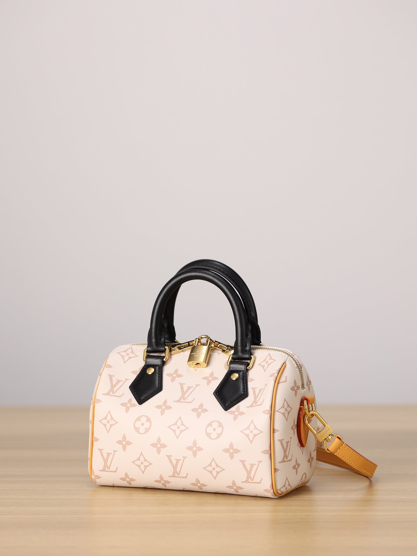 LV Speedy 20 Handbag
