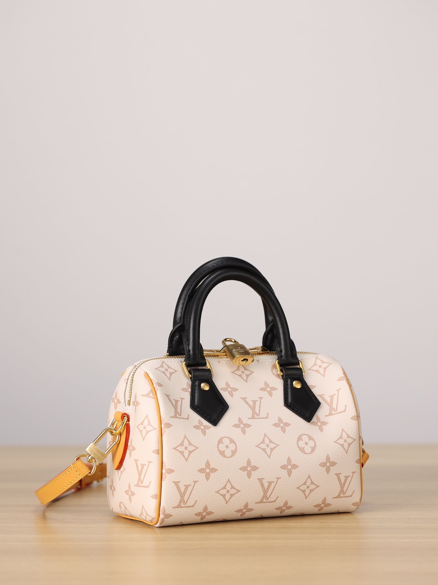 LV Speedy 20 Handbag