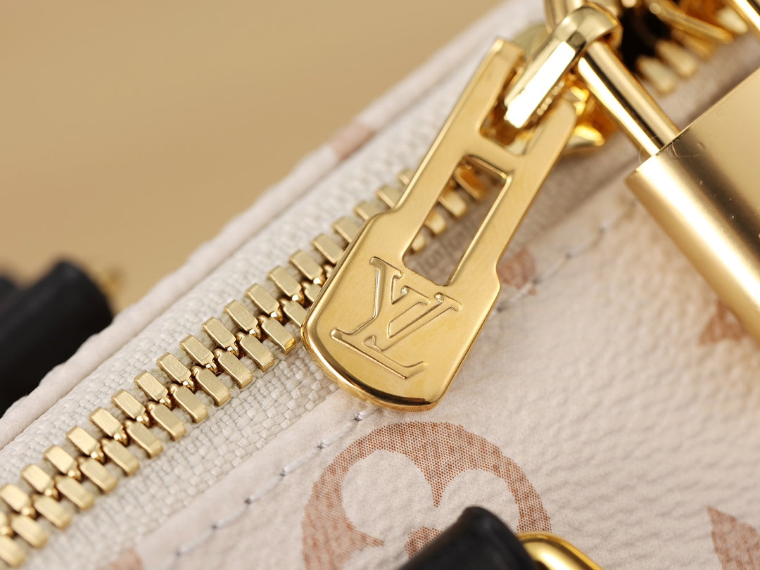 LV Speedy 20 Handbag