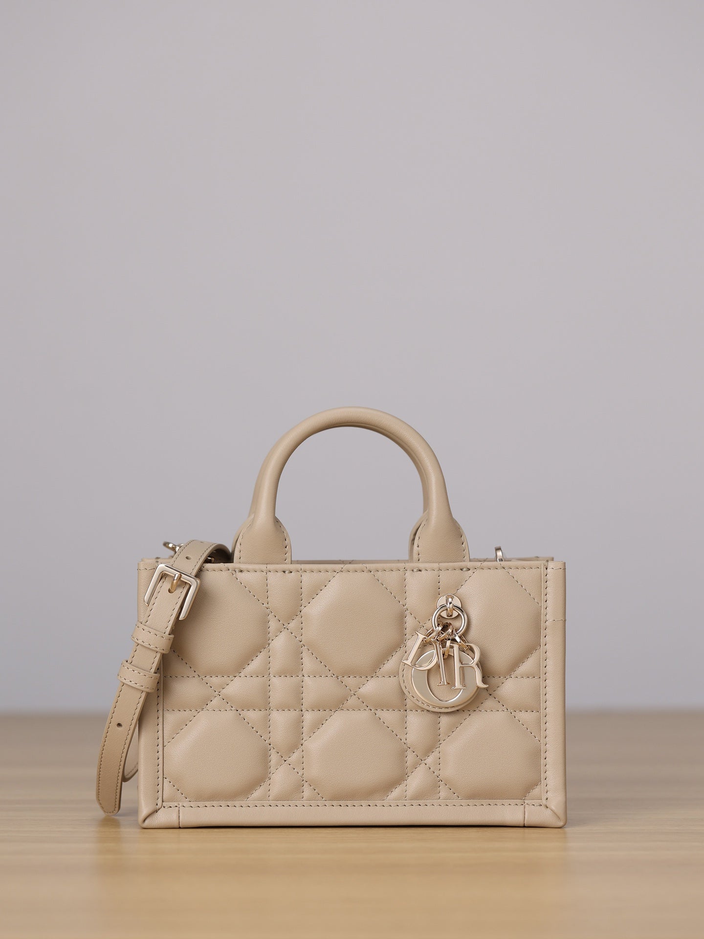 Dior Mini Book Tote bag