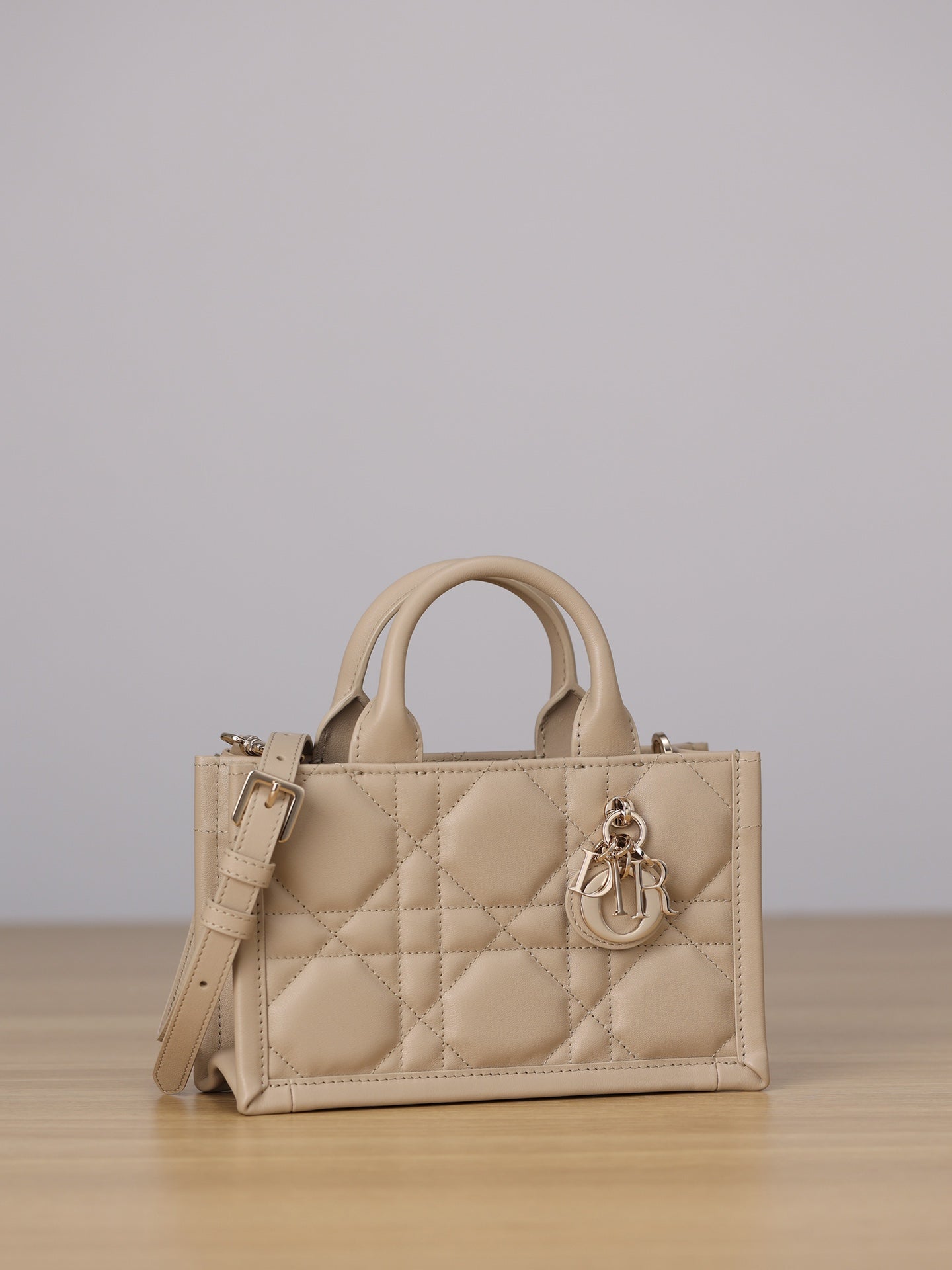 Dior Mini Book Tote bag