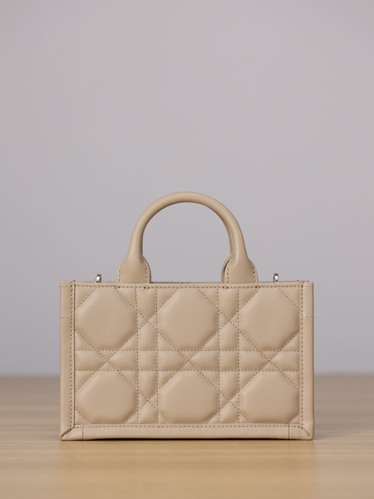 Dior Mini Book Tote bag