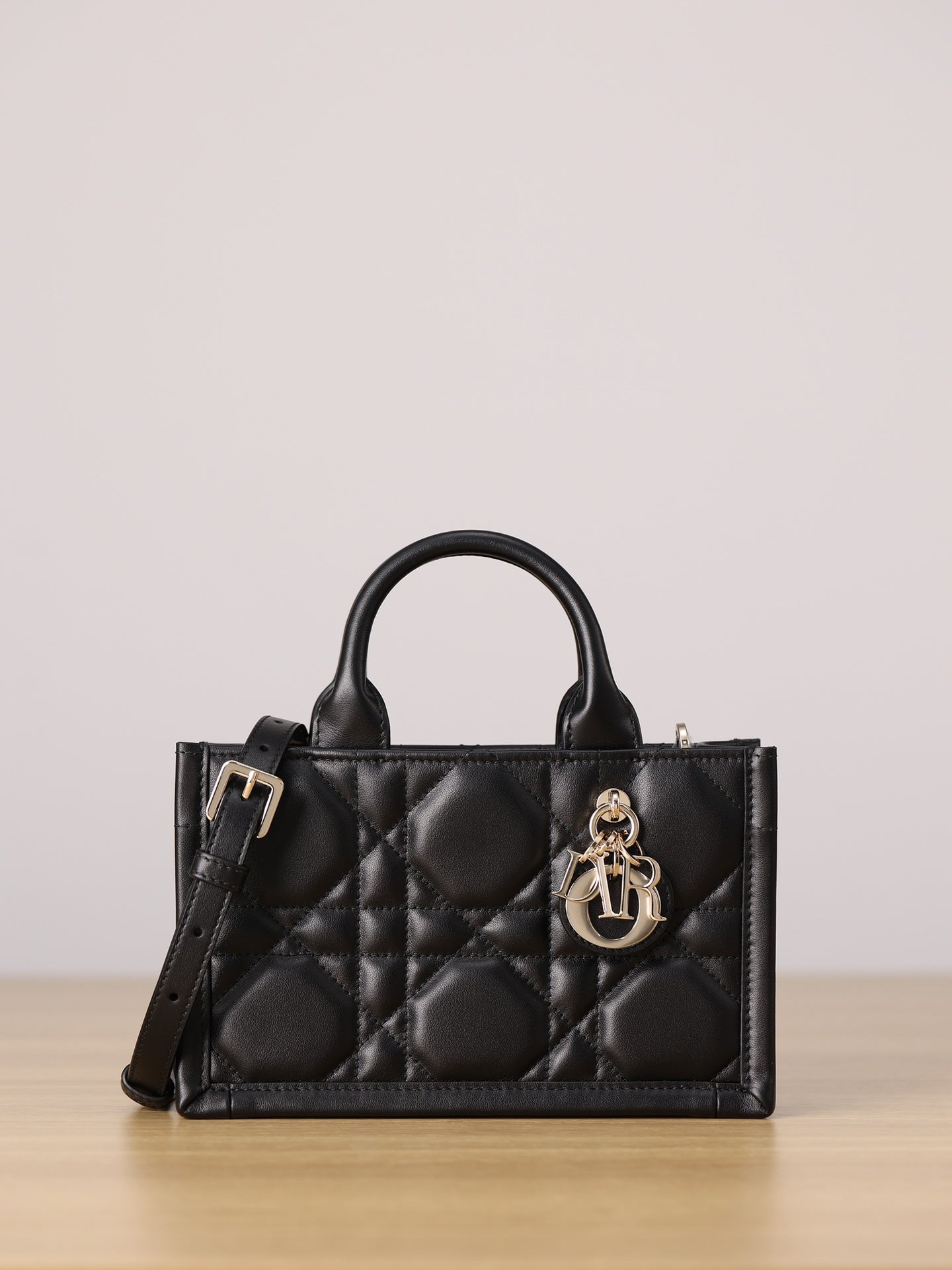 Dior Mini Book Tote bag