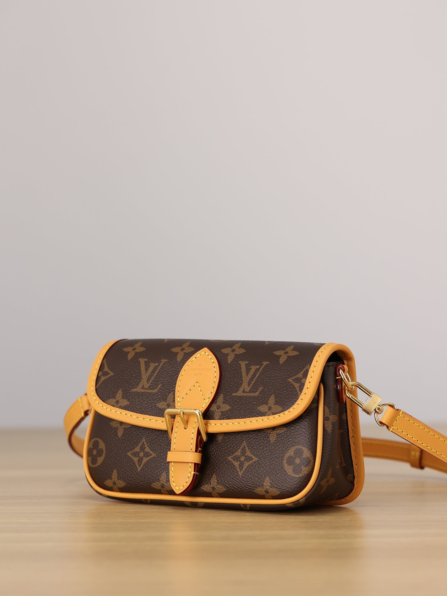 LV Nano Diane Handbag