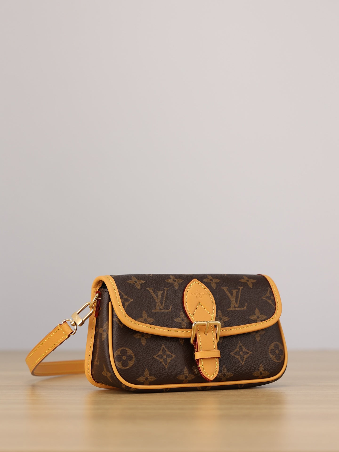 LV Nano Diane Handbag