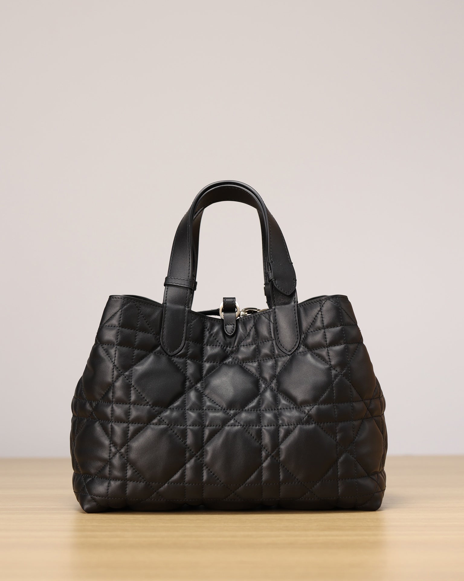 Dior Toujours Handbag（Medium Size）
