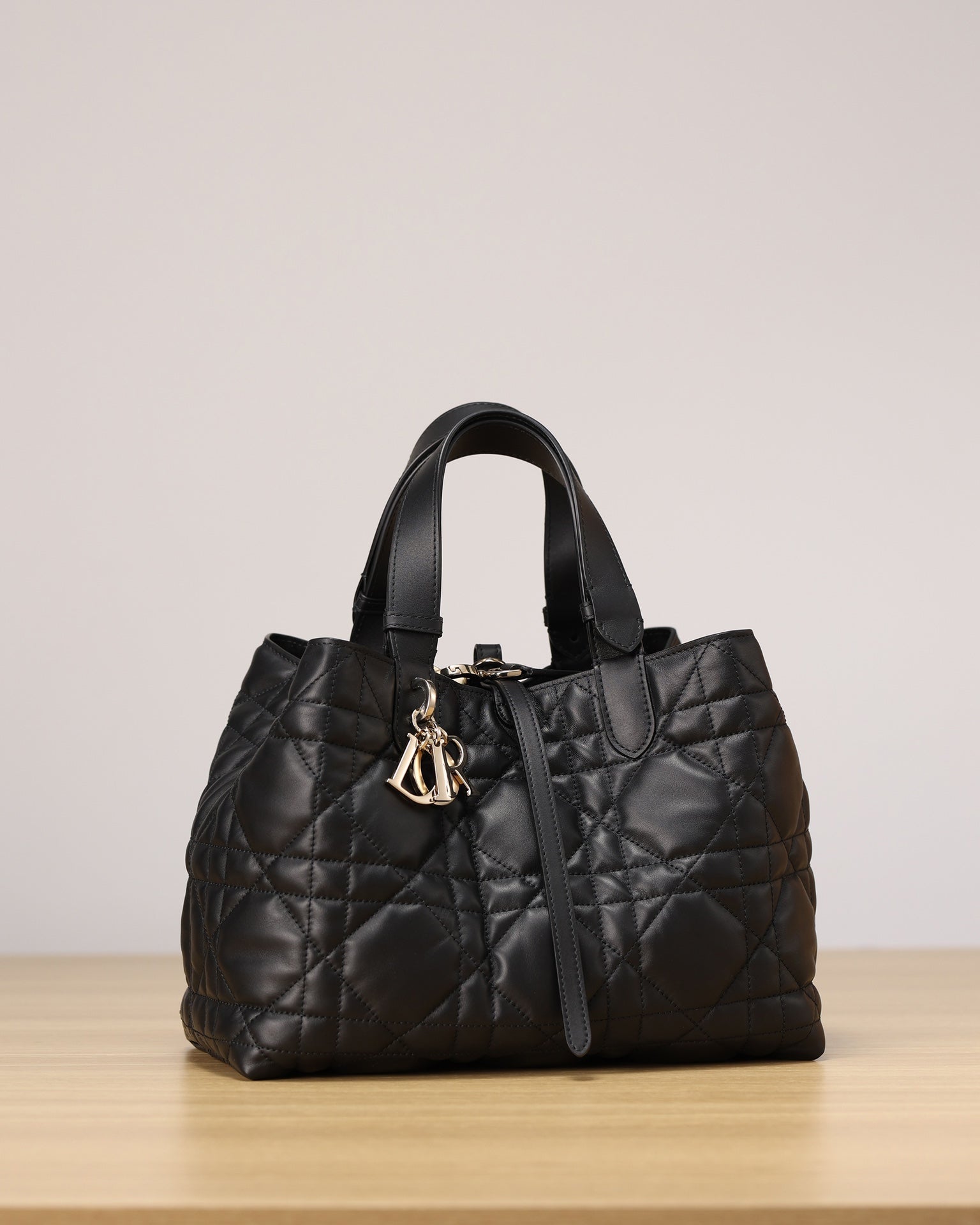 Dior Toujours Handbag（Medium Size）