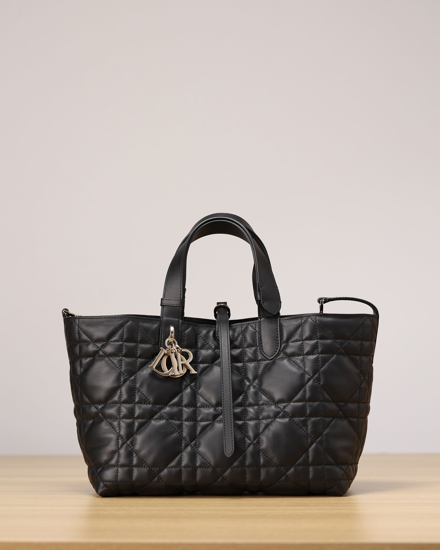 Dior Toujours Handbag（Medium Size）