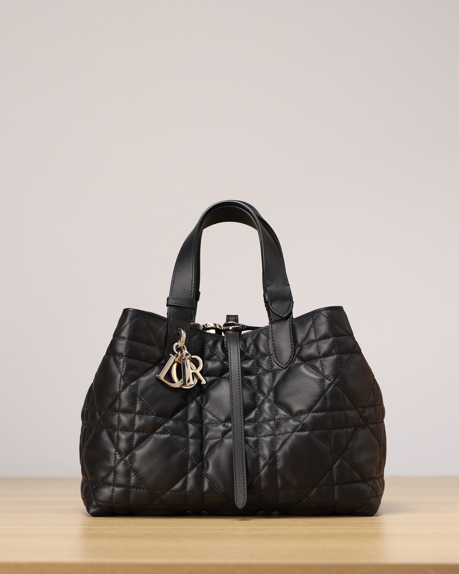 Dior Toujours Handbag（Medium Size）