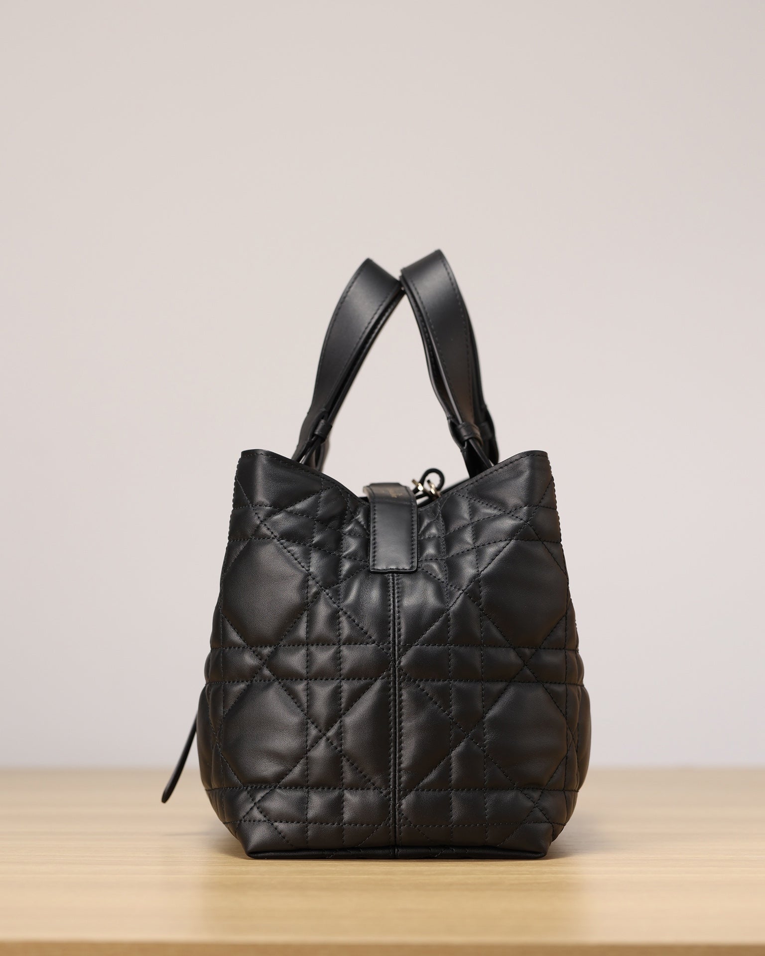 Dior Toujours Handbag（Medium Size）