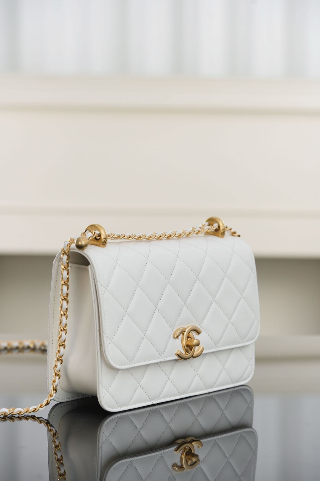 Chanel 25S Handbag