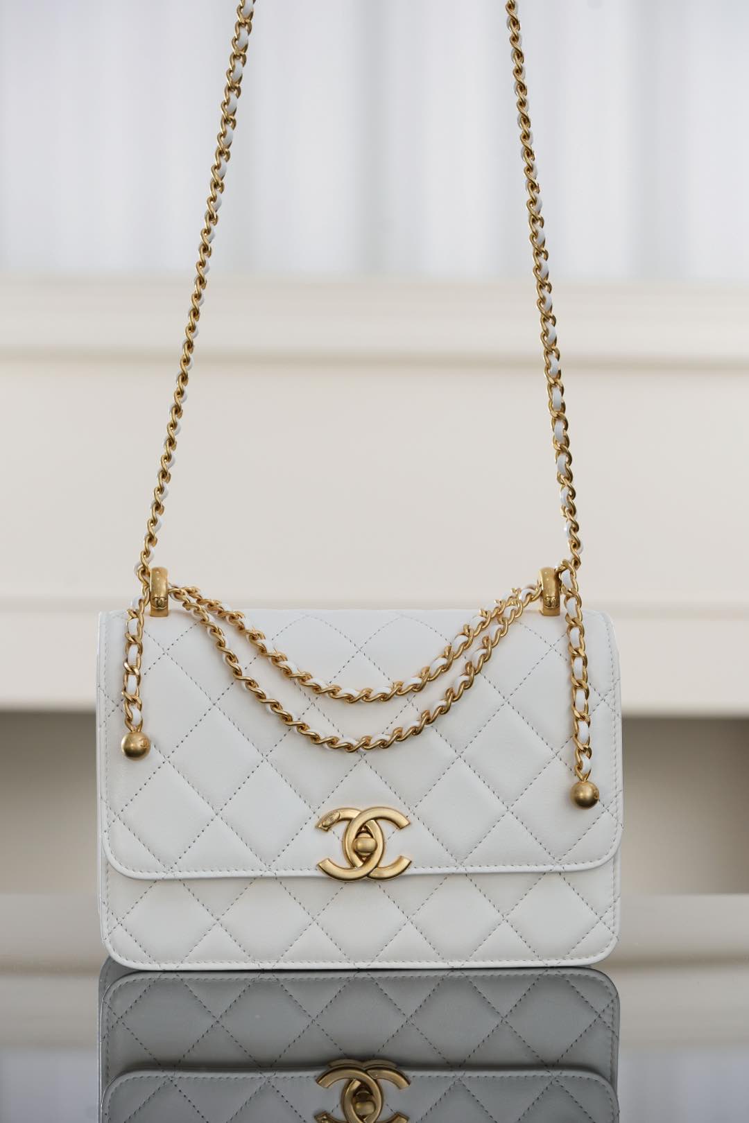 Chanel 25S Handbag